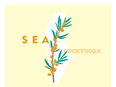 SEA-buckthorn