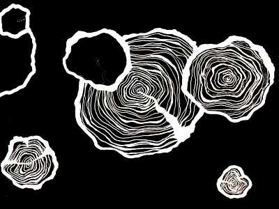 Wood Rings illustration