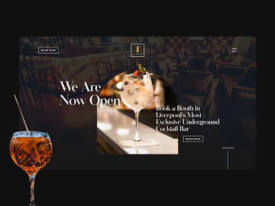 Cocktail Bar Web Design