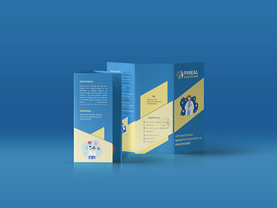 3 Folded Brochure