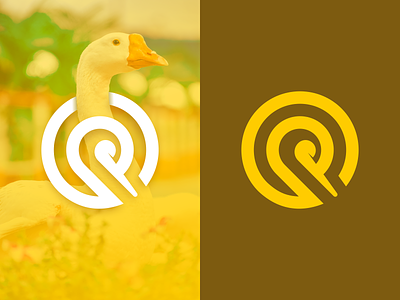 Goose animal branding design flat graphic design illustration logo typography ux vector web yellow