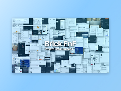 BrickFNF Success Collage art branding design graphic design graphic designer graphics illustrator minimal shoes vector web website