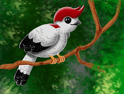 Soldadinho do Araripe birdie design illustration