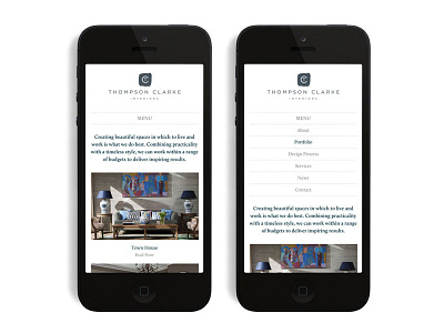 Thompson Clarke Website Design online shop responsive web design web shop web shop design website design