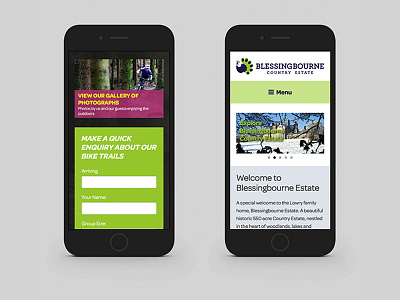 Blessingbourne Website Design belfast brand brand design brand design belfast branding design branding design belfast design identity web design web design belfast website design website design belfast