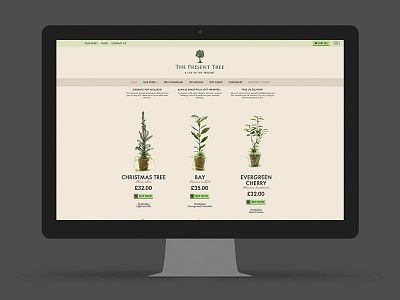 Present Tree Web Design web design web design belfast website design website design belfast
