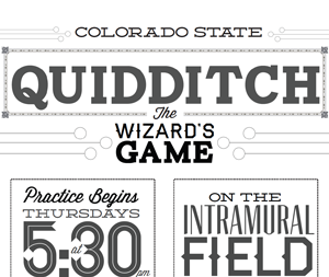 CSU Quidditch Poster losttype poster quidditch