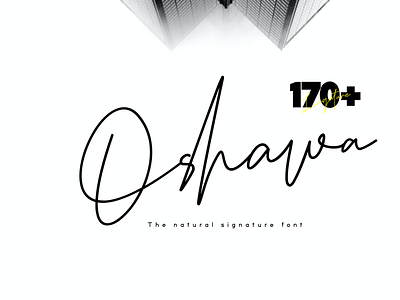 Oshawa caligraphy font intuisi creative script typography watermark wedding