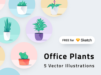 Office Plants for Sketch aloe cactus dracaena free freebie illustration mobile plant plants sketch ui vector