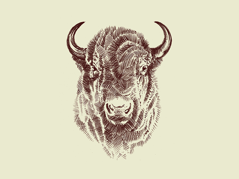 Buffalo Bison head tattoo Stock Vector  Adobe Stock