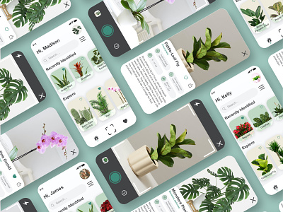 Plant Identification Mobile App
