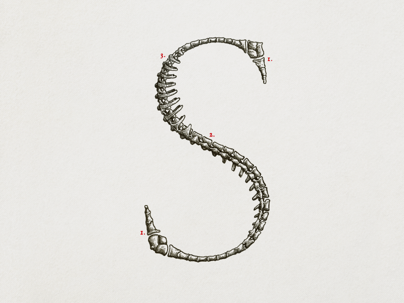 GC Letter of the day alphabet animation drawing handmade letter letters logo stopmotion type type design typography writeup
