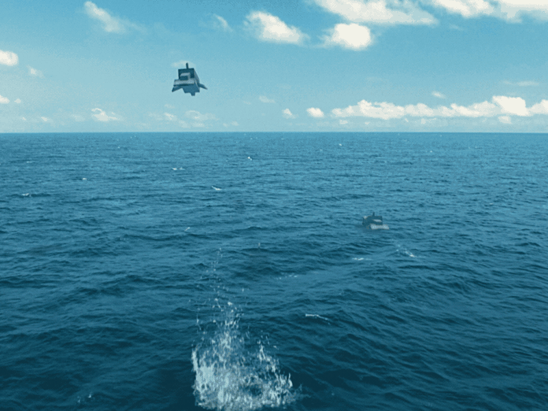 Minecraft Aquatic update animation creature dolphine minecraft mojang pixel art pixel graphic sea water