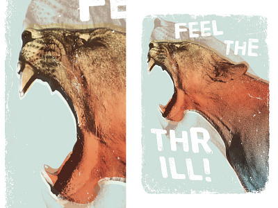 Feel the Thrill africa angry cheetah digital paint four color process furious lion roar safari thrill vector design wild