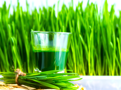 10 WHEATGRASS BENEFITS FOR SKIN, HAIR & 10 Amazing Benefits of Wheatgrass