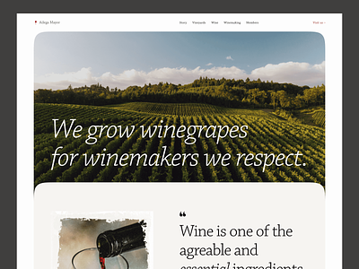 Winery 🍷 grid homepage landing layout site typography ui ui design web web design web site web-design web-site webdesign website wine wine web site winery winery site