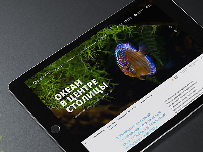 Second Concept For Moskvarium design fish hero image homepage oceanarium promo web