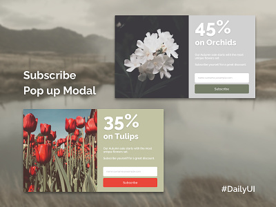 #DailyUI 001 / Subscribe Pop Up