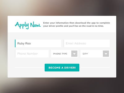 Apply Now. button form input interface light register select simple ui ux