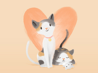 My cats cats illustration love