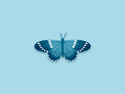 Butterfly bug butterfly garden illustration photoshop