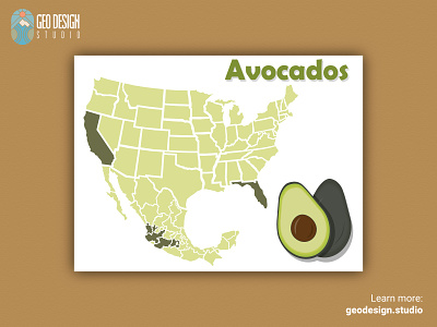 Avocados avocado design illustration illustrator map art map design maps maps of the usa