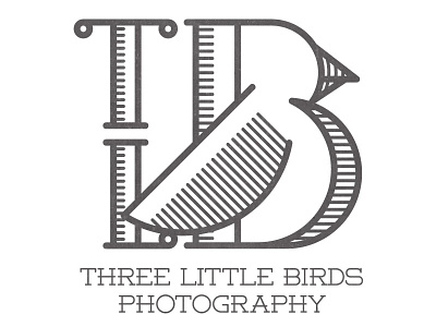 Three Little Birds bird birds brand branding creative design grey line work logo photography typography