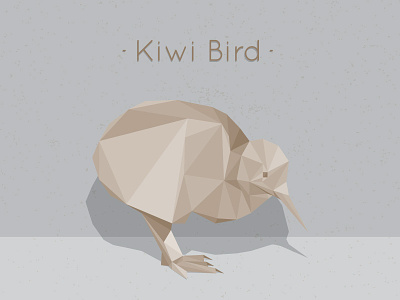 Kiwi Geo fun geometric illustration kiwi bird new zealand triangles