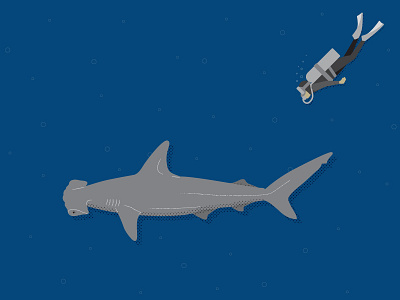Scuba aquarium bubbles deep design diver hammerhead illustration infographic ocean scuba sea shark