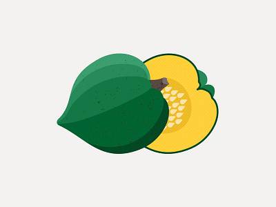 Acorn acorn design gourd icon illustration infographic pumpkin seeds squash texture