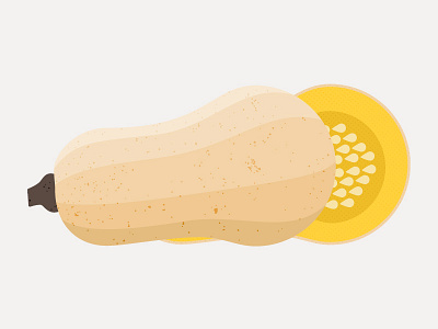 Butternut butternut design gourd icon illustration infographic pumpkin seeds squash texture