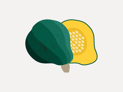 Hubbard design gourd hubbard icon illustration infographic pumpkin seeds squash texture