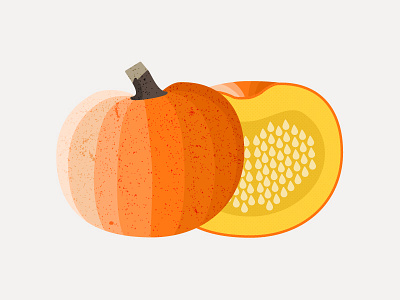 Pumpkin (Squash) design gourd icon illustration infographic pumpkin seeds squash texture