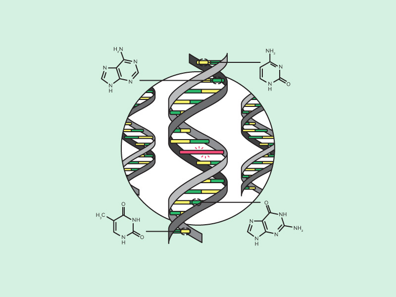 DNA by Shane O'Brien on Dribbble