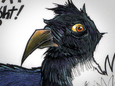 Crow basso color drawn hand illustration lawnz lawrence pencil prismacolor