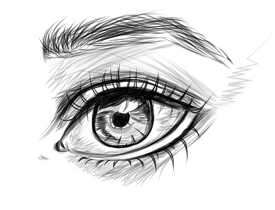 Detailed Eye Sketch art artwork design eye eyes illustration shading sketch vector