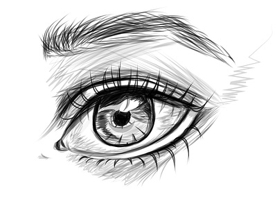 Detailed Eye Sketch