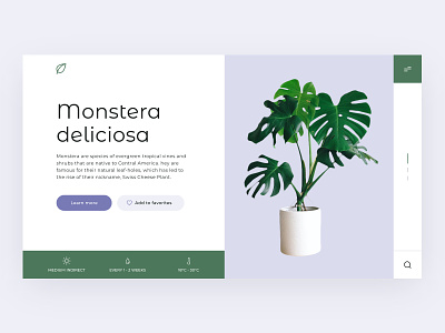 All about plants website concept design hero section plants ui uiux ux web design website design