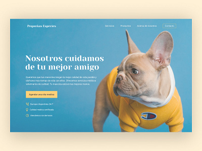 Web Design Pet design figmadesign minimal minimalism minimalist pets pets doctor ui uiux ux webdesign website