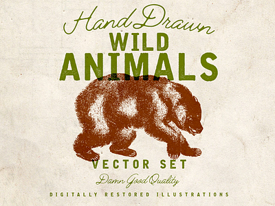 6 Free Hand Drawn Wild Animal Vectors animals download free
