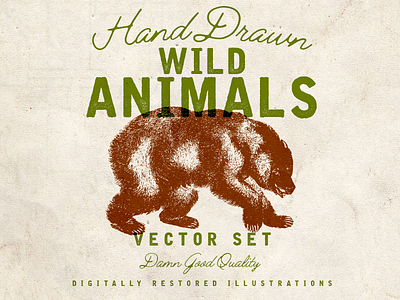 6 Free Hand Drawn Wild Animal Vectors