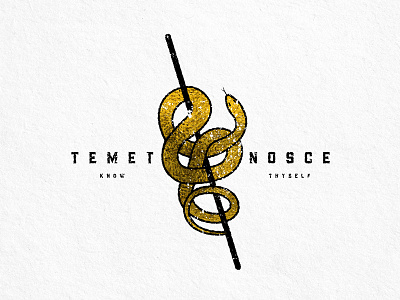 Know Thyself Logo goil gold illustration latin logo snake temet nosce