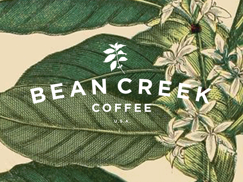 High End Coffee Shop Logo bean branding coffee leaf logo minimalism mockup nature simple visual identity