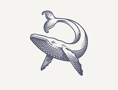 Happy Whale branding design illustration logo nautical process reject sea whale