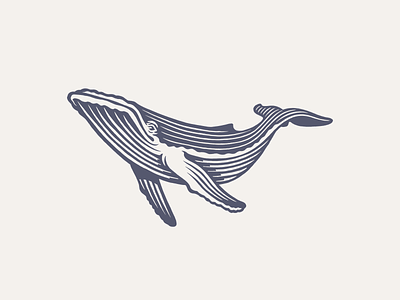 Whale branding bw design illustration logo
