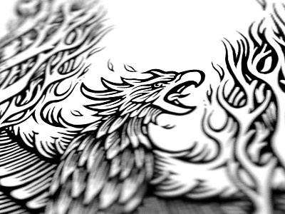 Burning birds bird illustration phoenix sketch