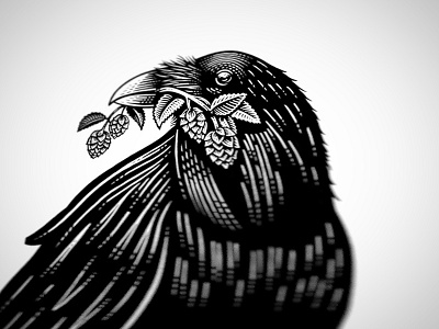 Raven bw illustration