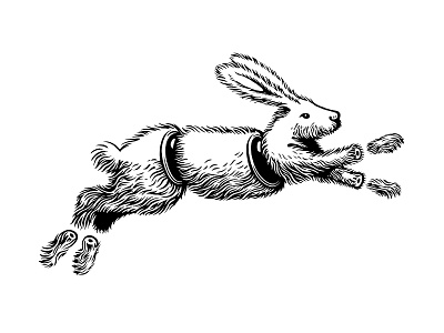 Use it all bw illustration rabbit
