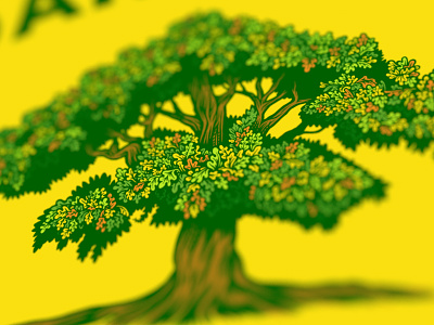 Oak(land) color illustration oak oakland tree