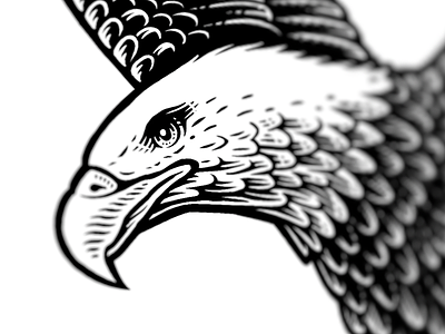 Eagle detail eagle illustration logo progress